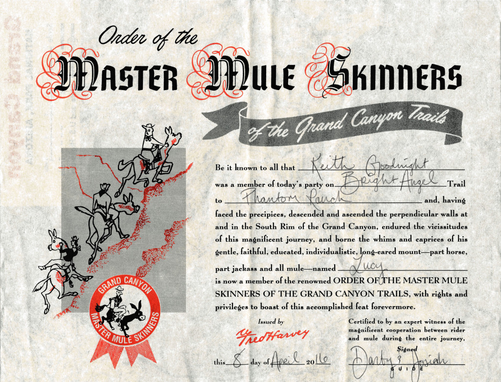 MuleRide Certificate